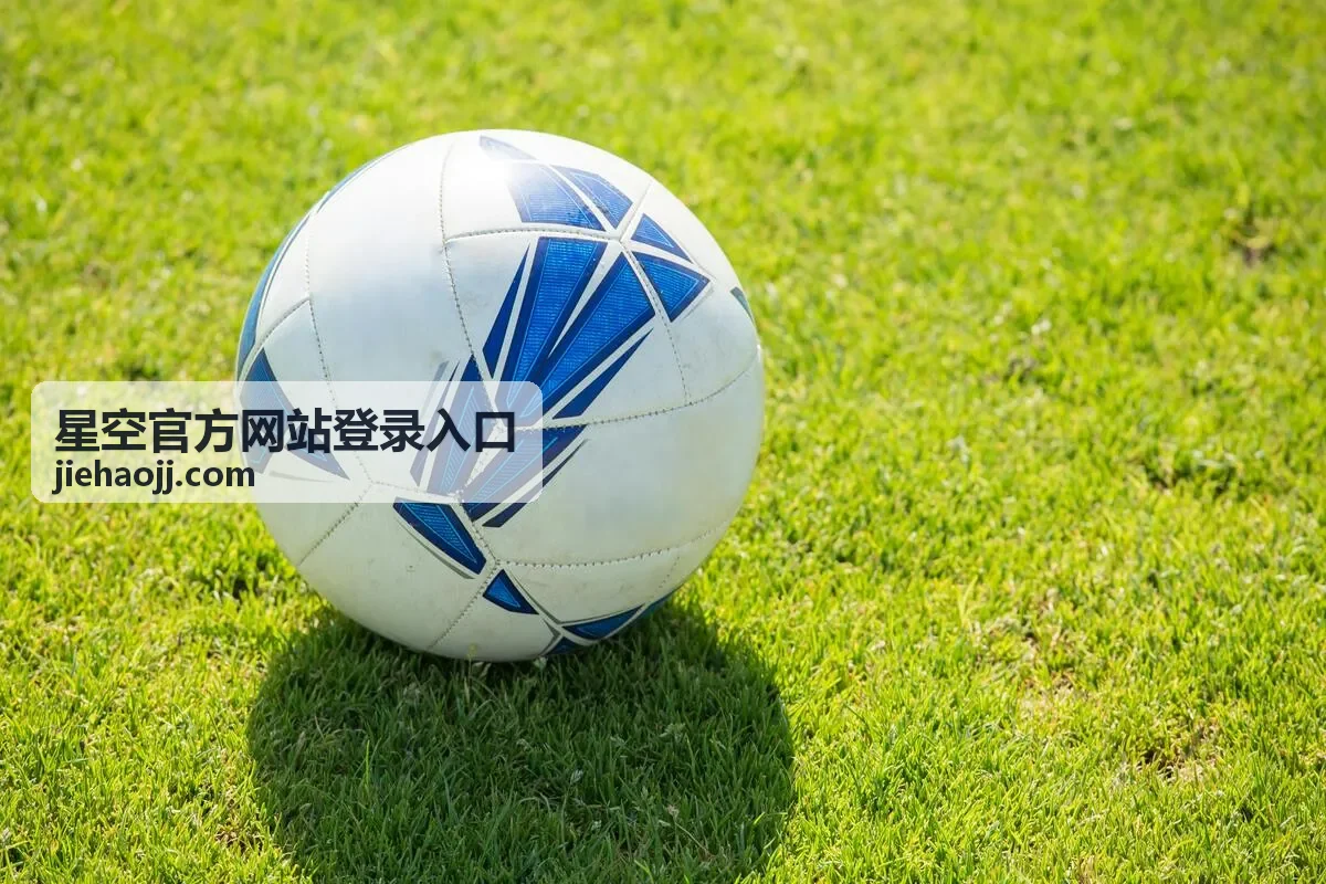 星空官方网站登录入口操作日志与审计功能界面示意